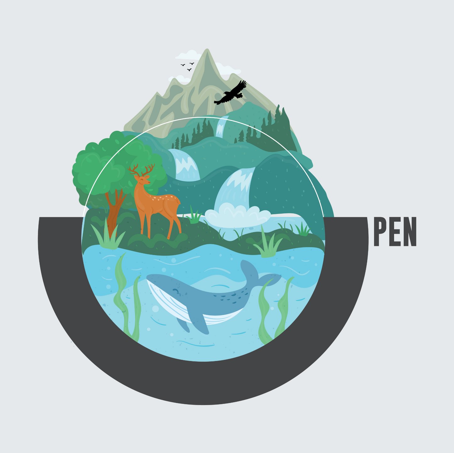 Open wild